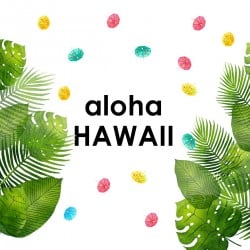 Promo Fiesta Hawaiana